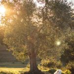 Centro Olistico Il Risveglio - Eventi